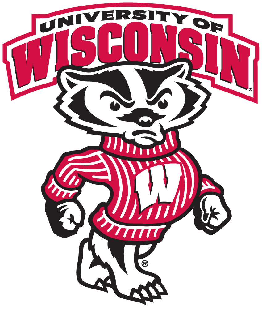 Wisconsin Badgers 2003-2017 Secondary Logo iron on transfers for clothing